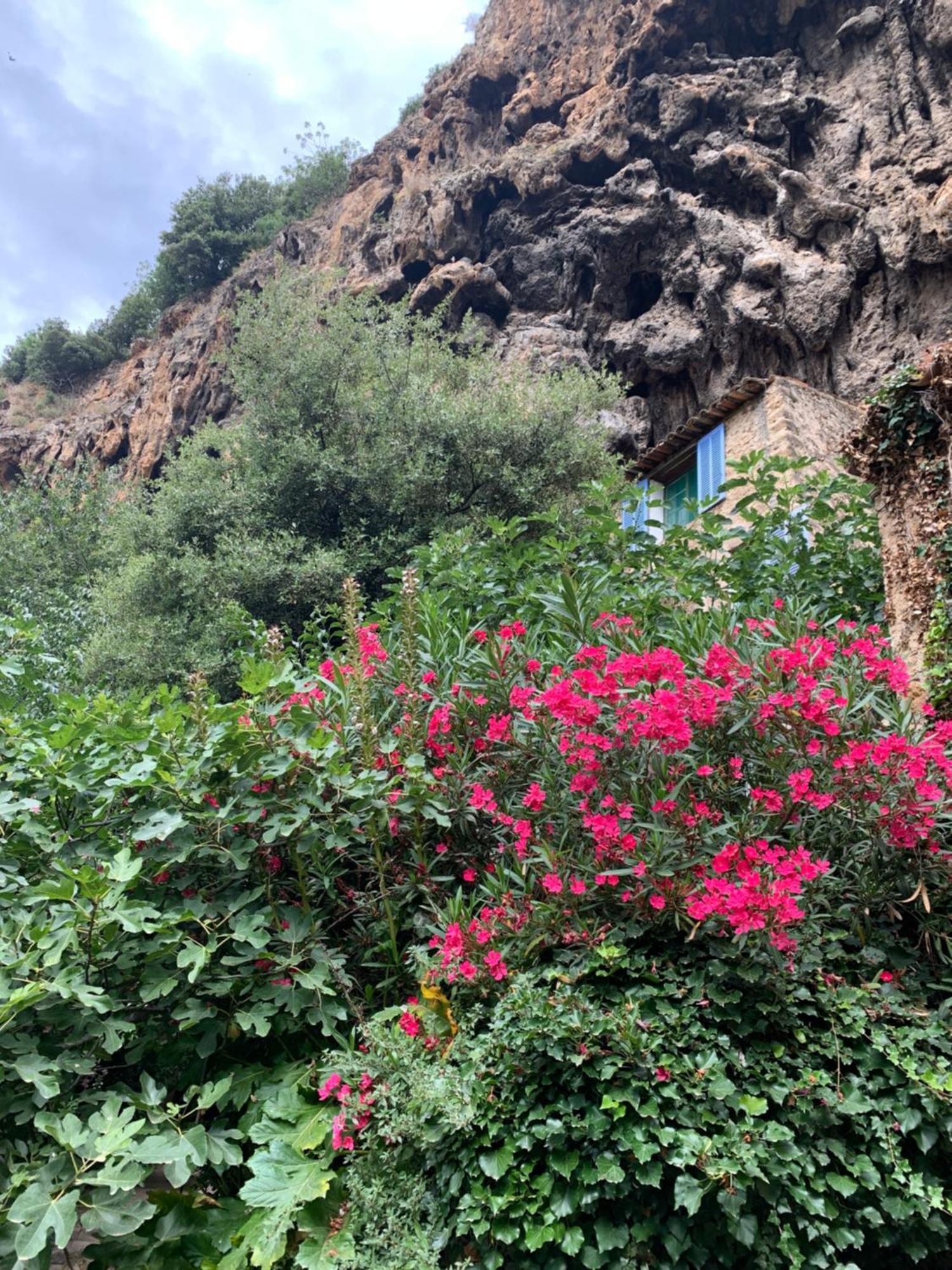 Tivoli En Provence Villa Cotignac Eksteriør bilde