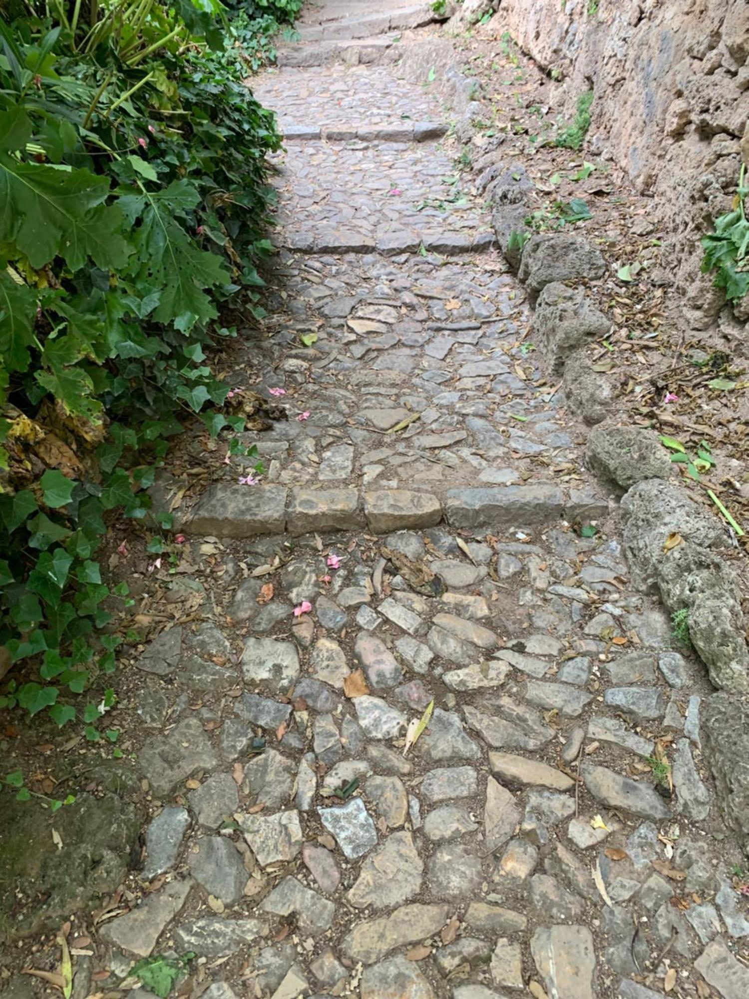 Tivoli En Provence Villa Cotignac Eksteriør bilde