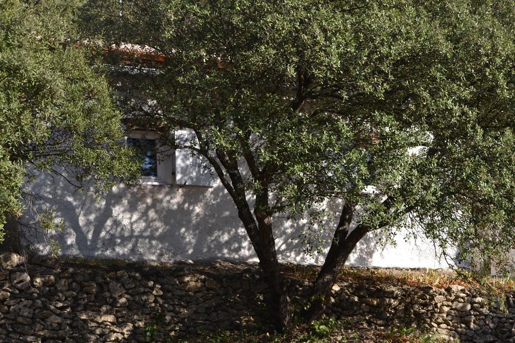 Tivoli En Provence Villa Cotignac Eksteriør bilde